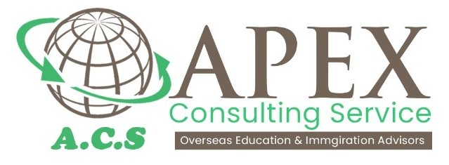 Apex Consulting Services